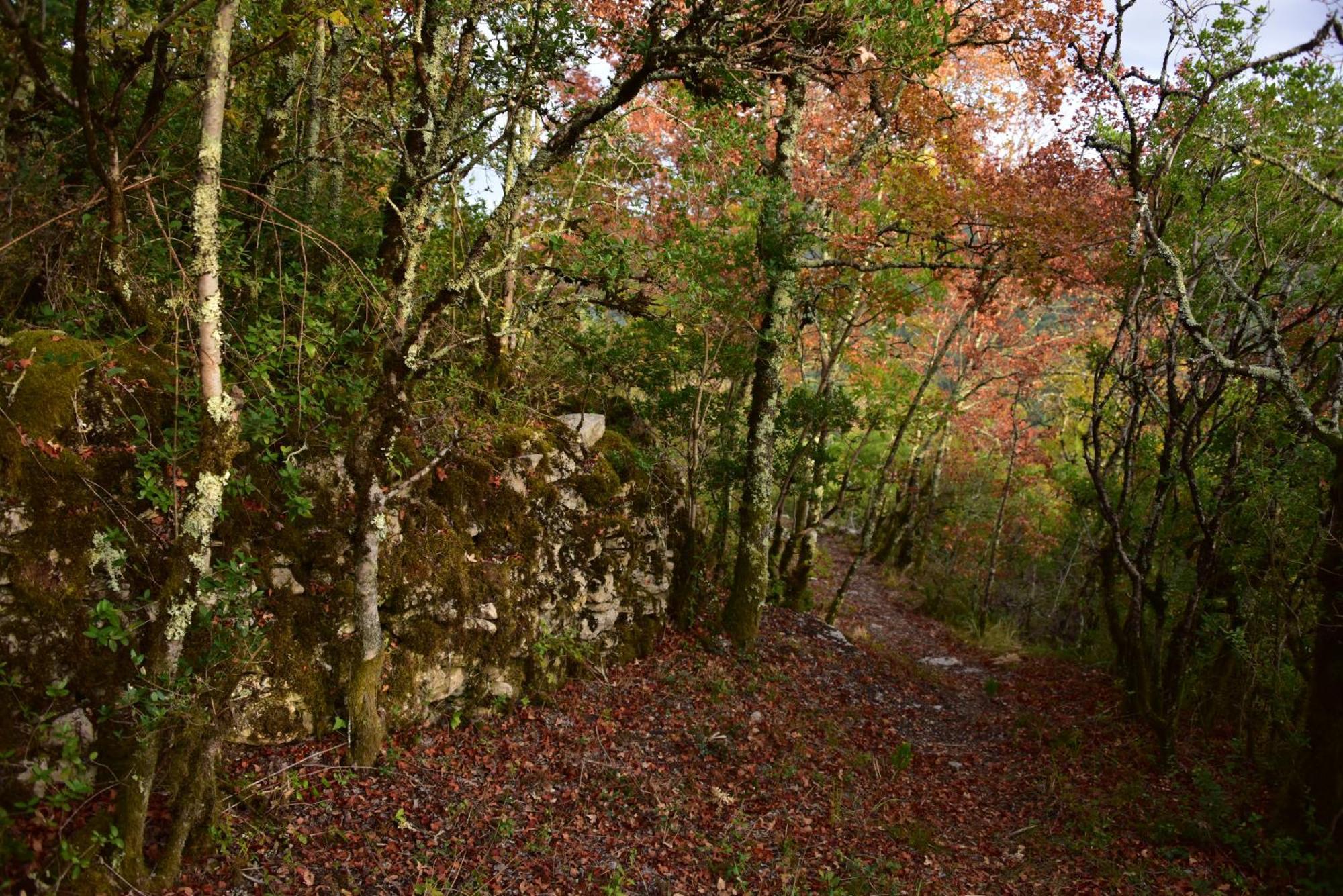 Puylaroque Rataboul 빌라 외부 사진